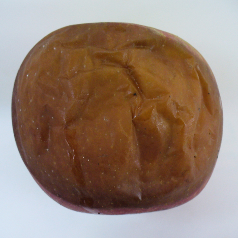 Murcha de Botryosphaeria